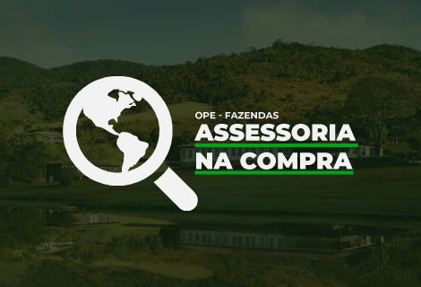 Assessoria na Compra - Fazendas