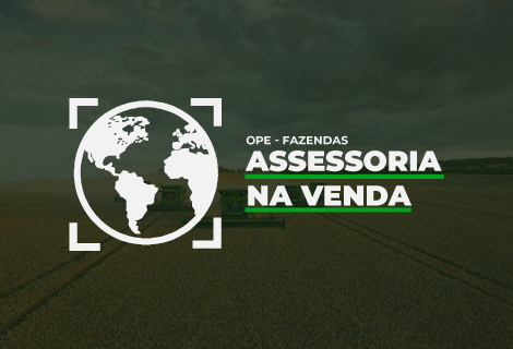 Assessoria na Venda - Fazendas