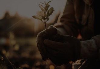 Estudo Técnico na Compra e Venda de Fazenda – Parte 1: Diagnóstico Ambiental