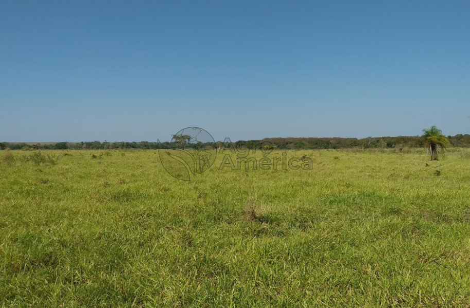 Fazenda 242 Hectares | Cáceres/MT