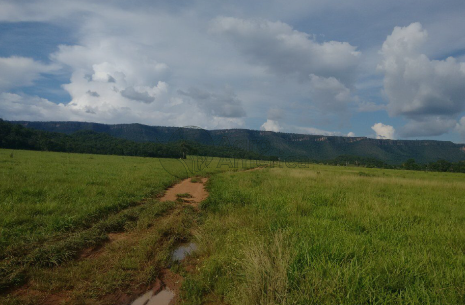 Fazenda 234 Hectares | Rosário Oeste/MT