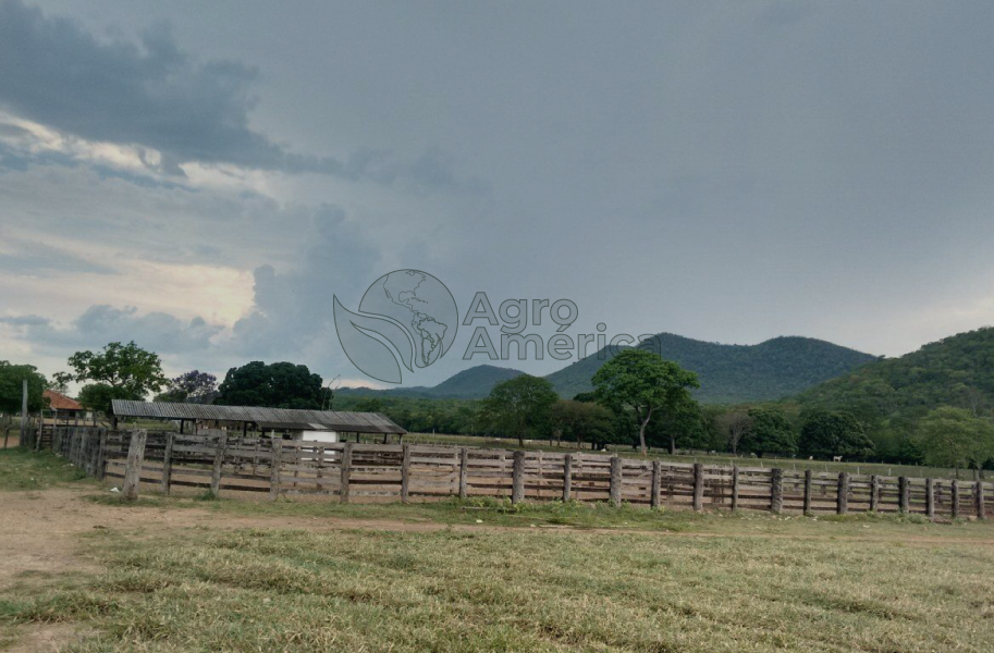 Fazenda 3.380 Hectares | Cáceres/MT