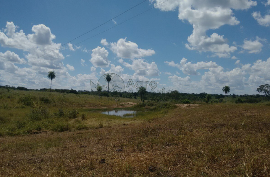 Fazenda 752 Hectares | Poconé/MT