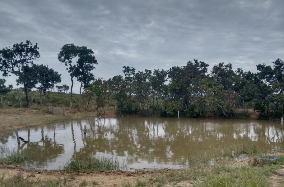 Fazenda 525 Hectares | N. S. Livramento/MT