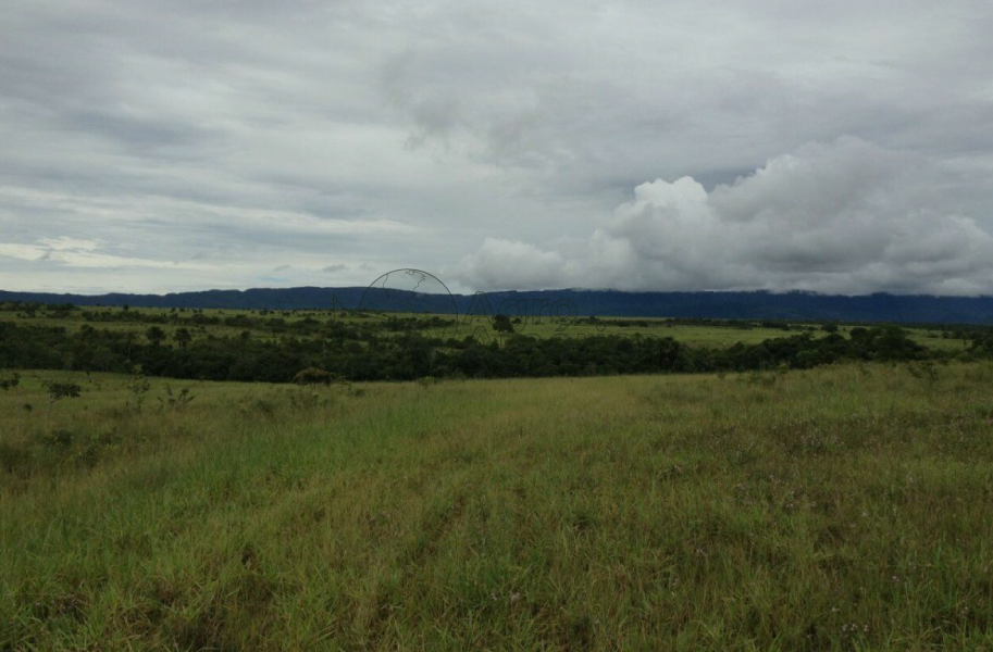 Fazenda 1.900 Hectares | Rosário Oeste/MT