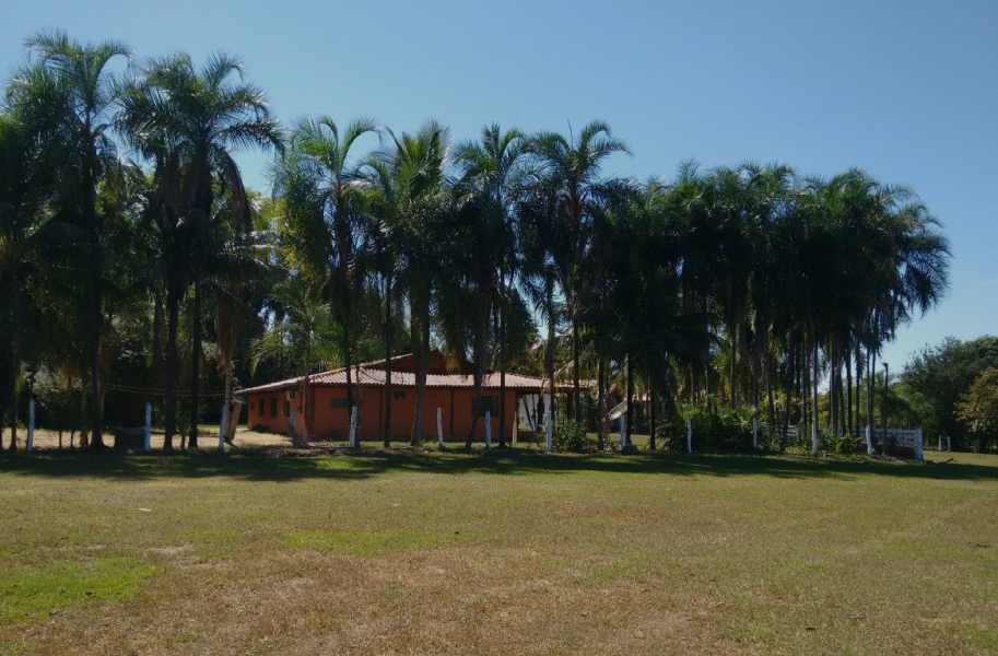 Fazenda 1.226 Hectares | Rosário Oeste/MT