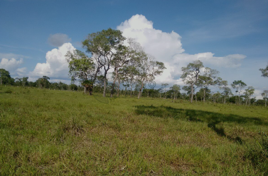 Fazenda 8.244 Hectares | Poconé/MT