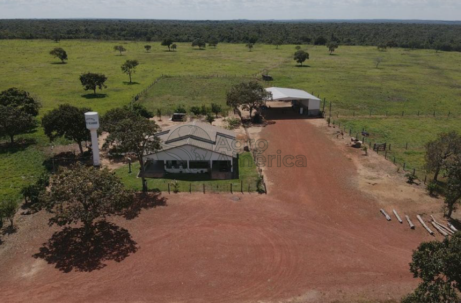 Fazenda 961 Hectares | Palmas/TO