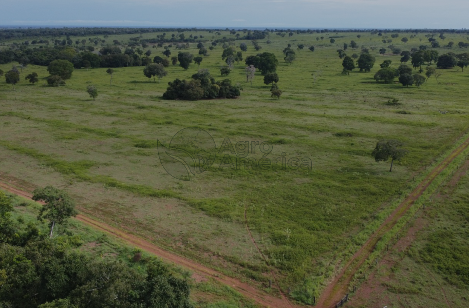 Fazenda 4.360 Hectares | Araguaçu/TO