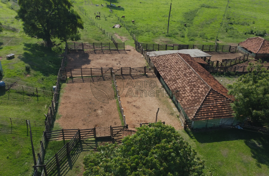 Fazenda 1.094 Hectares | Prata/MG