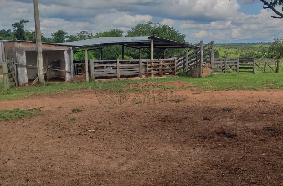 Fazenda 63 Hectares | Uberlândia/MG