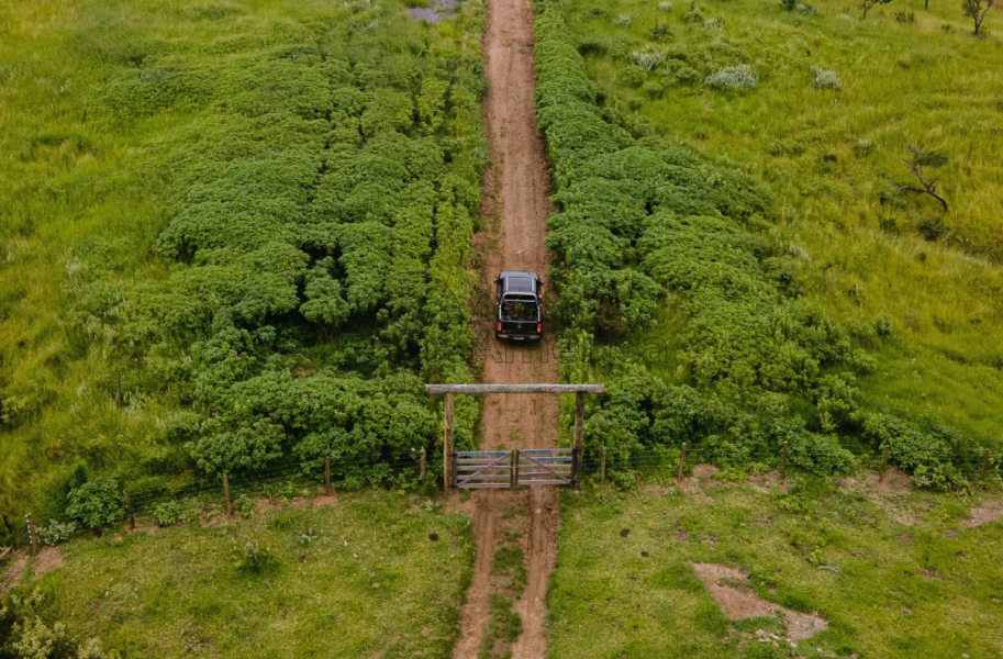 Fazenda 194 Hectares | Ibiá/MG