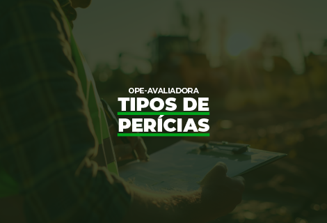 Tipos de Perícias (id-223)