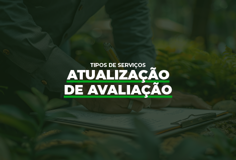 Atualização de Avaliação (id-225)