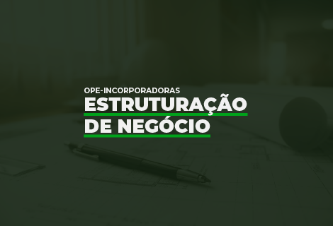 Estruturação de Negócio