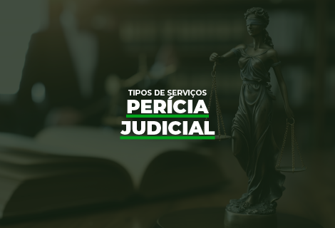 Perícia Judicial (id-225)